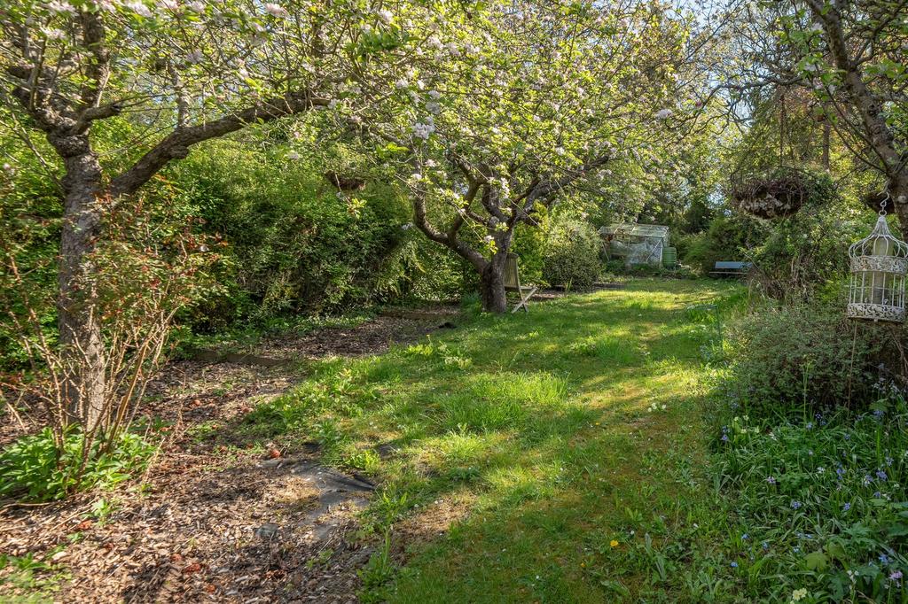 Garden view, garden