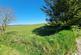Additional image 17 of Treglasta, Launceston