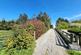 Additional image 9 of Treglasta, Launceston