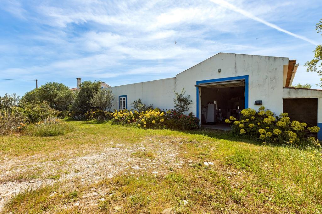 Detached house exterior