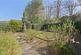 Additional image 24 of Corsie Avenue, Perth
