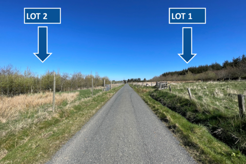 Woodland for sale, Hill of Fisherie, Turriff AB53