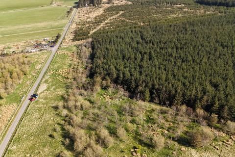 Woodland for sale, Hill of Fisherie, Turriff AB53