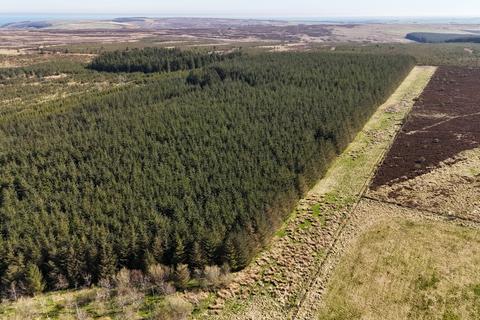 Woodland for sale, Hill of Fisherie, Turriff AB53