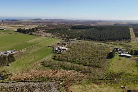 Woodland for sale