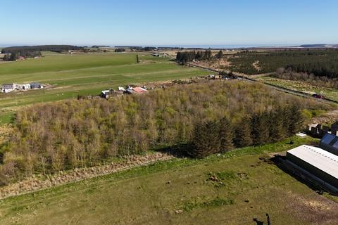 Woodland for sale, Hill of Fisherie, Turriff AB53