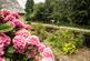 Additional image 18 of Abbey Road, Llangollen, Denbighshire, LL20