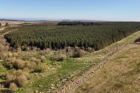 Woodland for sale, Hill of Fisherie, Turriff AB53