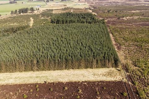 Woodland for sale, Hill of Fisherie, Turriff AB53