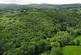 Ilsington, Newton Abbot, Devon TQ12 Ilsington Wood | 28.40 acres (11.49 ha | Freehold |