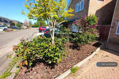 4 bedroom detached house to rent, Borda Close, Chelmsford, CM1