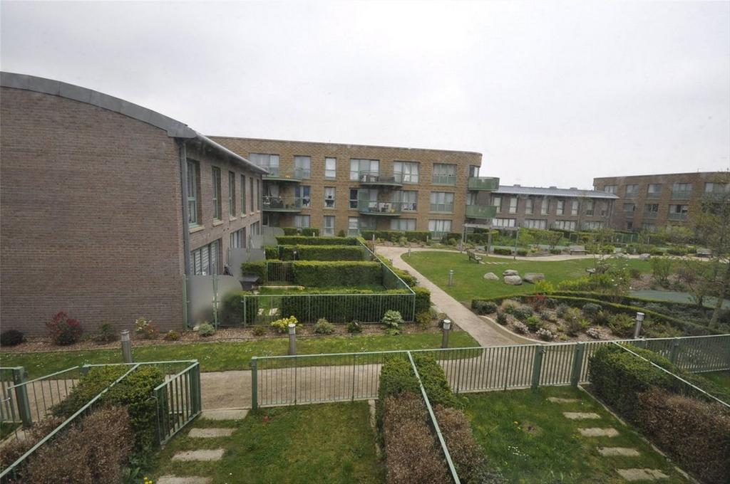 Communal garden, garden