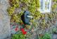Additional image 26 of Ripon Road, Killinghall, HG3