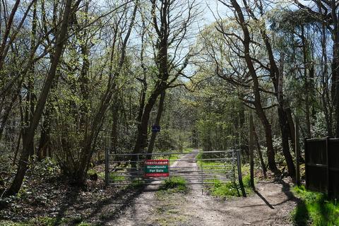 Woodland for sale, Gate Hill, Faversham ME13