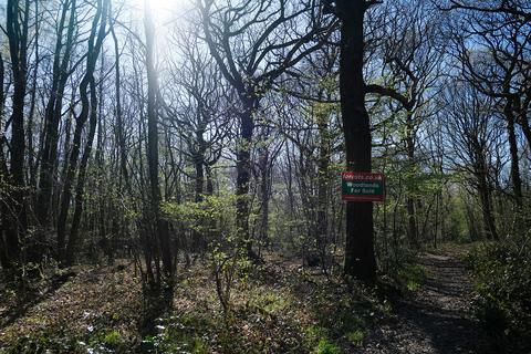 Woodland for sale, Gate Hill, Faversham ME13