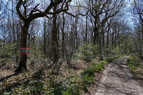 Woodland for sale, Gate Hill, Faversham ME13