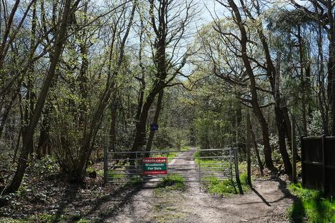Woodland for sale, Gate Hill, Faversham ME13
