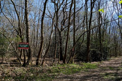 Woodland for sale, Gate Hill, Faversham ME13