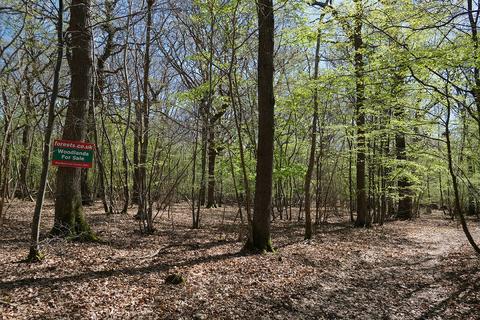 Woodland for sale, Gate Hill, Faversham ME13