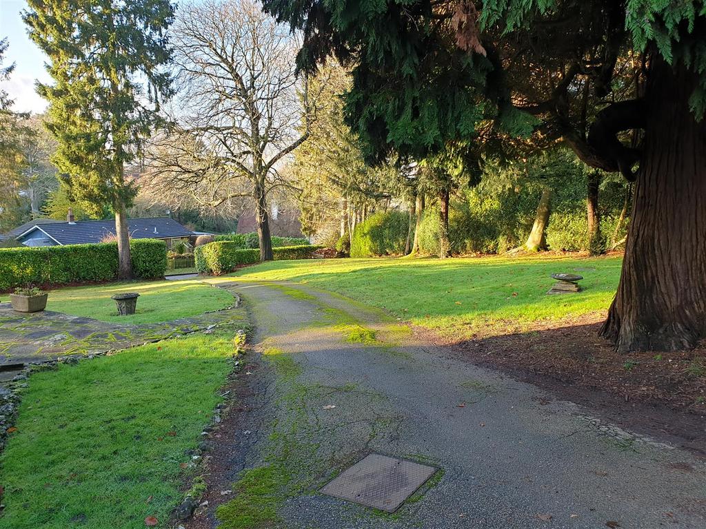 Garden view, garden