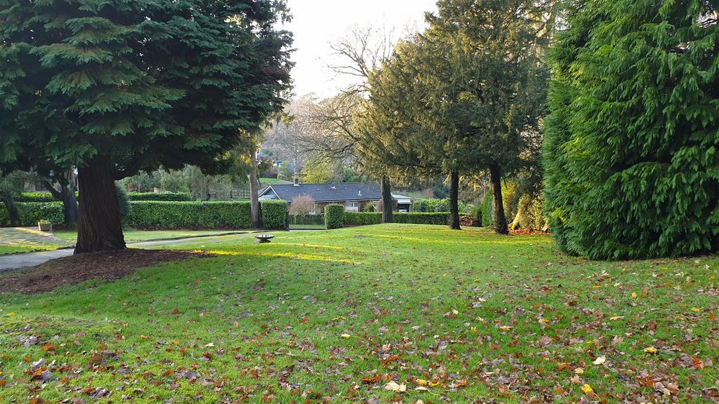 Garden view, garden