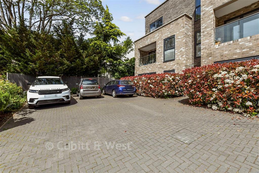 Driveway/Parking