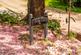 Additional image 41 of Knox Park, Killinghall, HG3