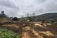 Additional image 3 of Starkholmes Road, Matlock DE4