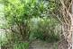 Additional image 15 of Orchard Road, Lewes