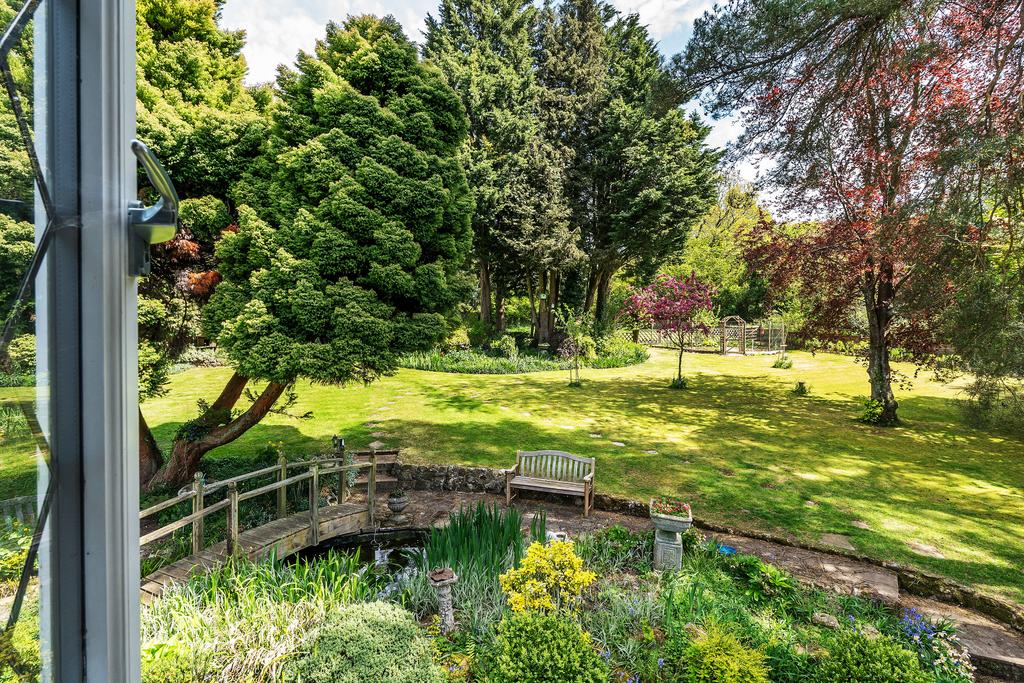 Photo 31