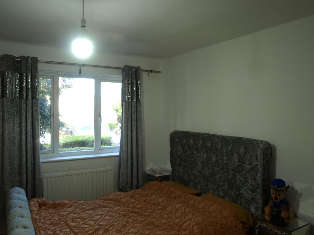 Pic 8
