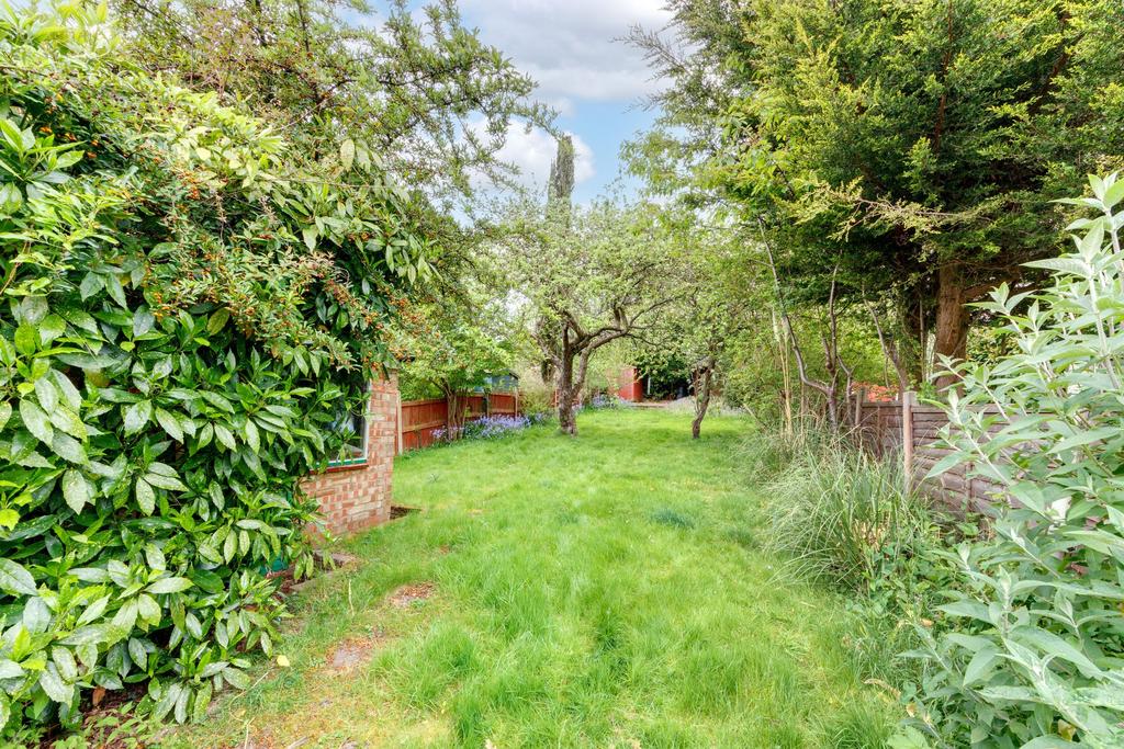 Garden view, garden
