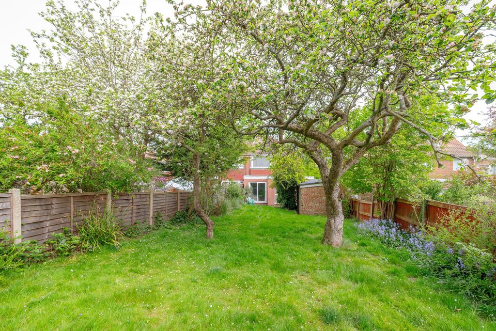 Garden view, garden