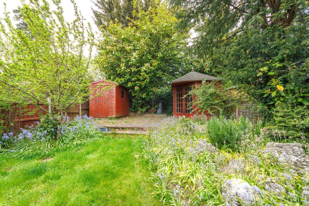Garden view, garden