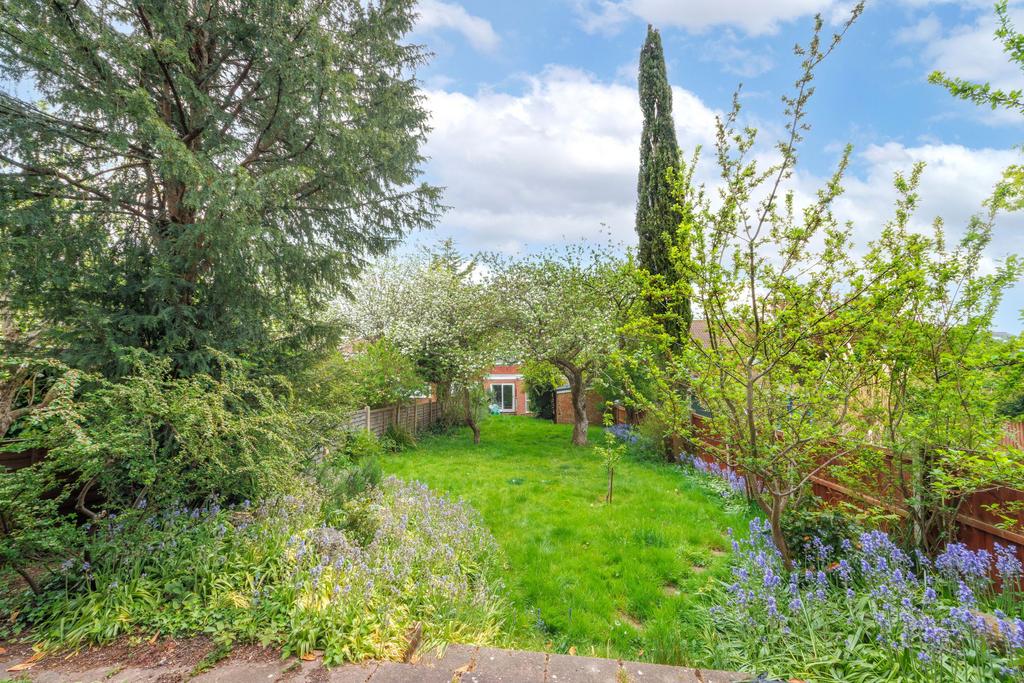 Garden view, garden