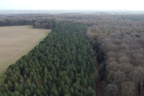 Woodland for sale, Broughton, near Scunthorpe, North Lincolnshire DN20