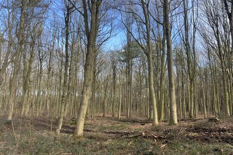 Woodland for sale, Broughton, near Scunthorpe, North Lincolnshire DN20