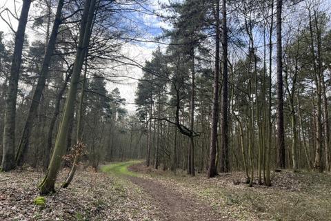 Woodland for sale, Broughton, near Scunthorpe, North Lincolnshire DN20