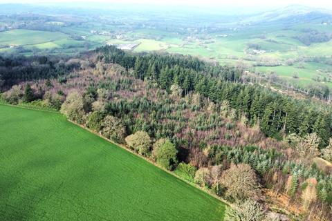 undefined, Axminster, Devon EX13 Kilmington  | 93.29 acres/37.76 ha | Devon