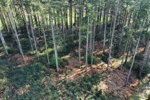 undefined, Axminster, Devon EX13 Kilmington  | 93.29 acres/37.76 ha | Devon