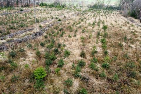 undefined, Axminster, Devon EX13 Kilmington  | 93.29 acres/37.76 ha | Devon
