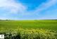 Additional image 15 of Rose Villas, Owsten Ferry, Isle Of Axholme, North Lincolnshire, DN9