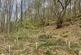 Sera Wood, Maeshafn, near Mold CH7