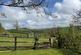 Additional image 68 of Whitemill, Carmarthen SA32
