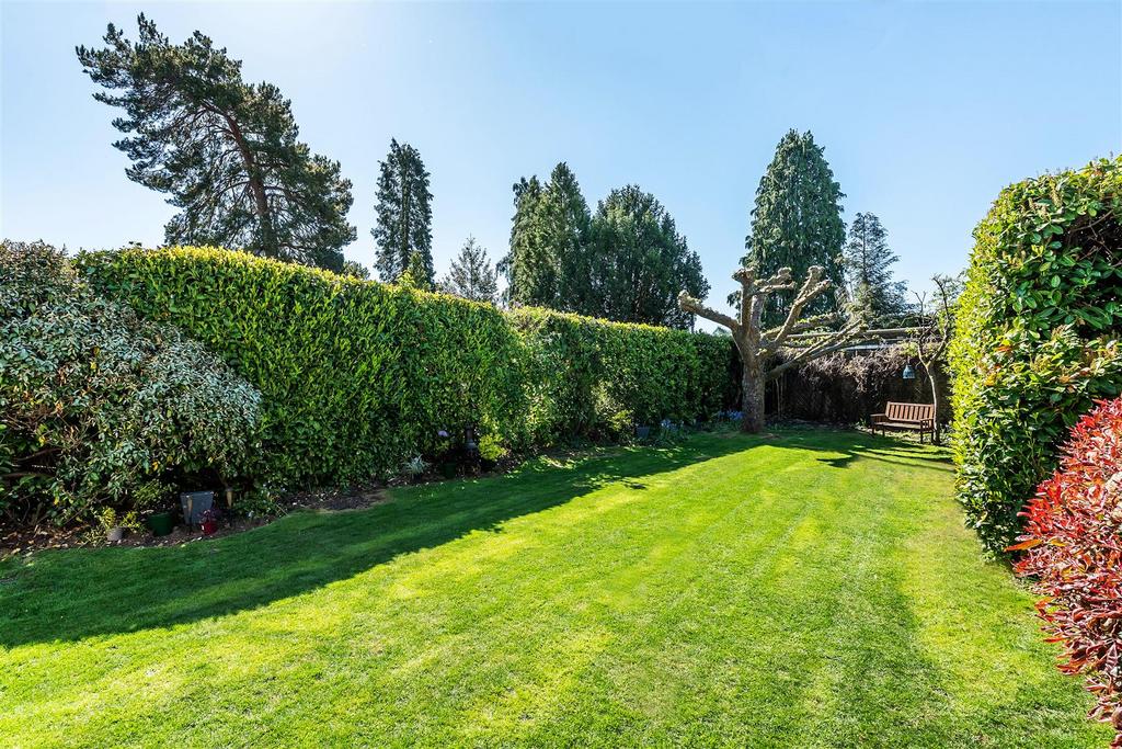 Garden view, garden
