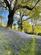 Additional image 13 of Dog lane Tarporley