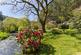 Additional image 26 of Liskeard PL14