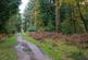 Additional image 2 of 50 Bickton Drive, Sway, Lymington