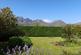Additional image 38 of Torrin, Isle Of Skye, IV49 9BA