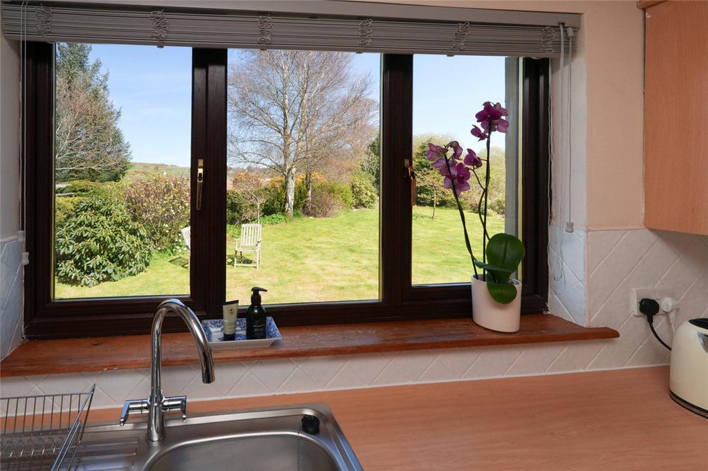Kitchen View